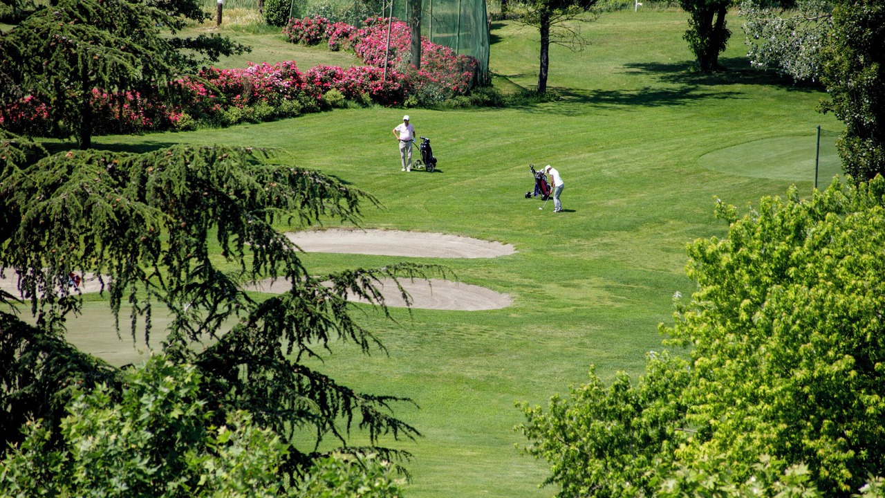 Photo of Others in Galzignano Terme