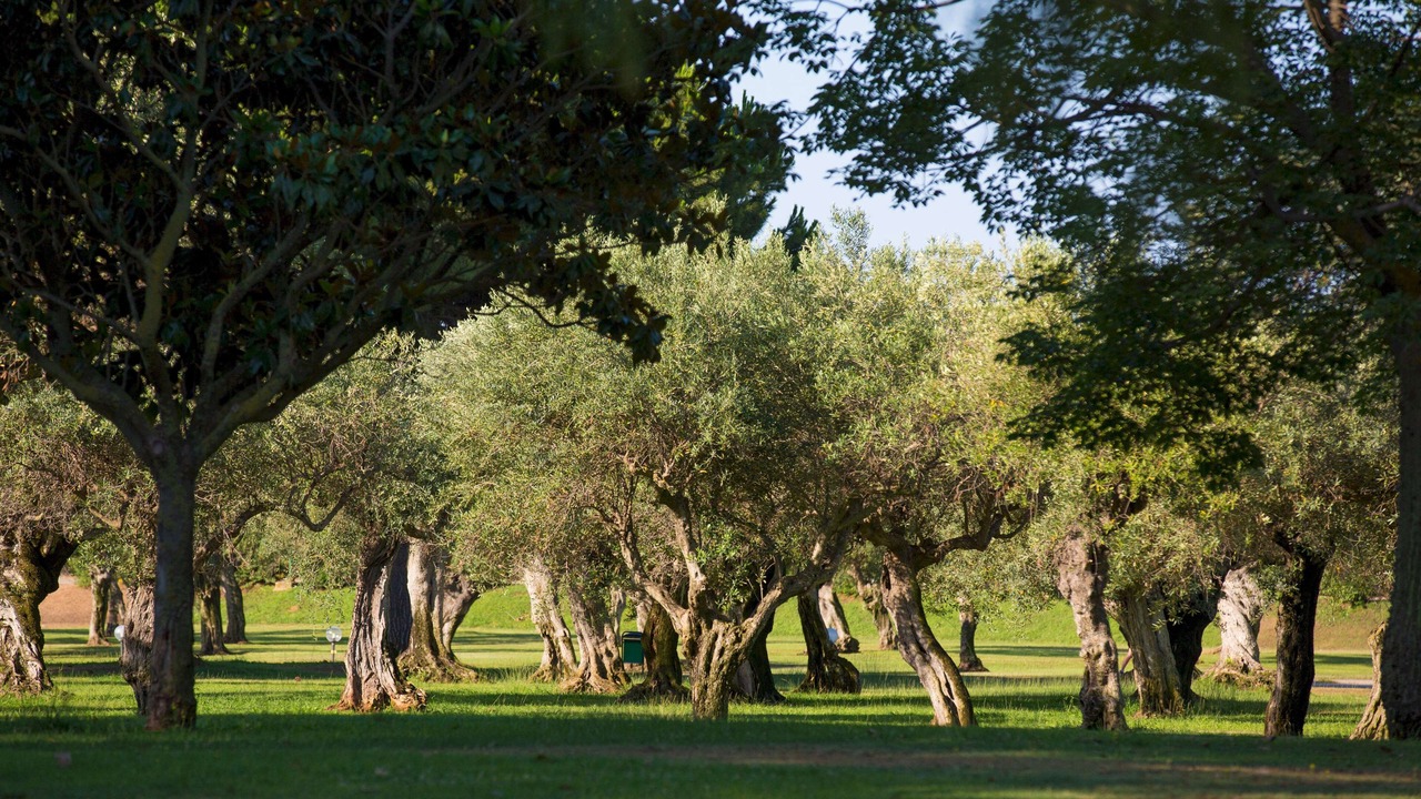 Photo of Others in Sciacca