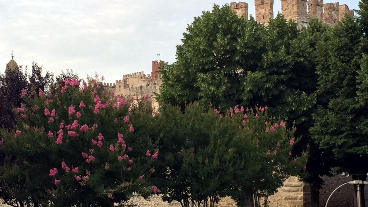 Photo of Outdoor in Soave