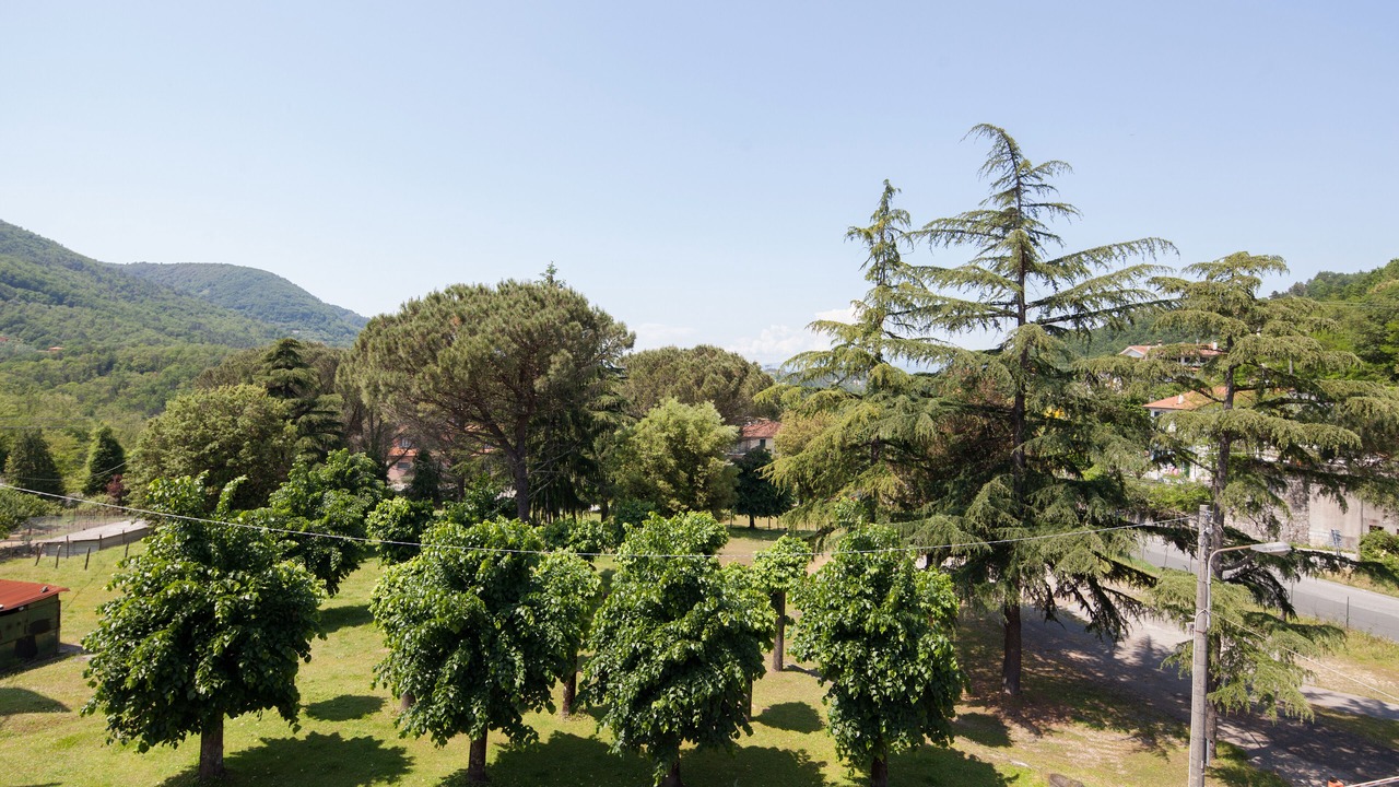 Photo of Others in La Foce