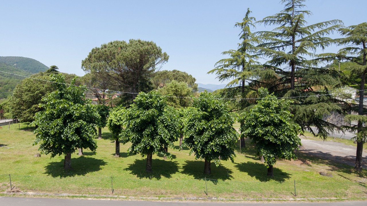 Photo of Outdoor in La Foce