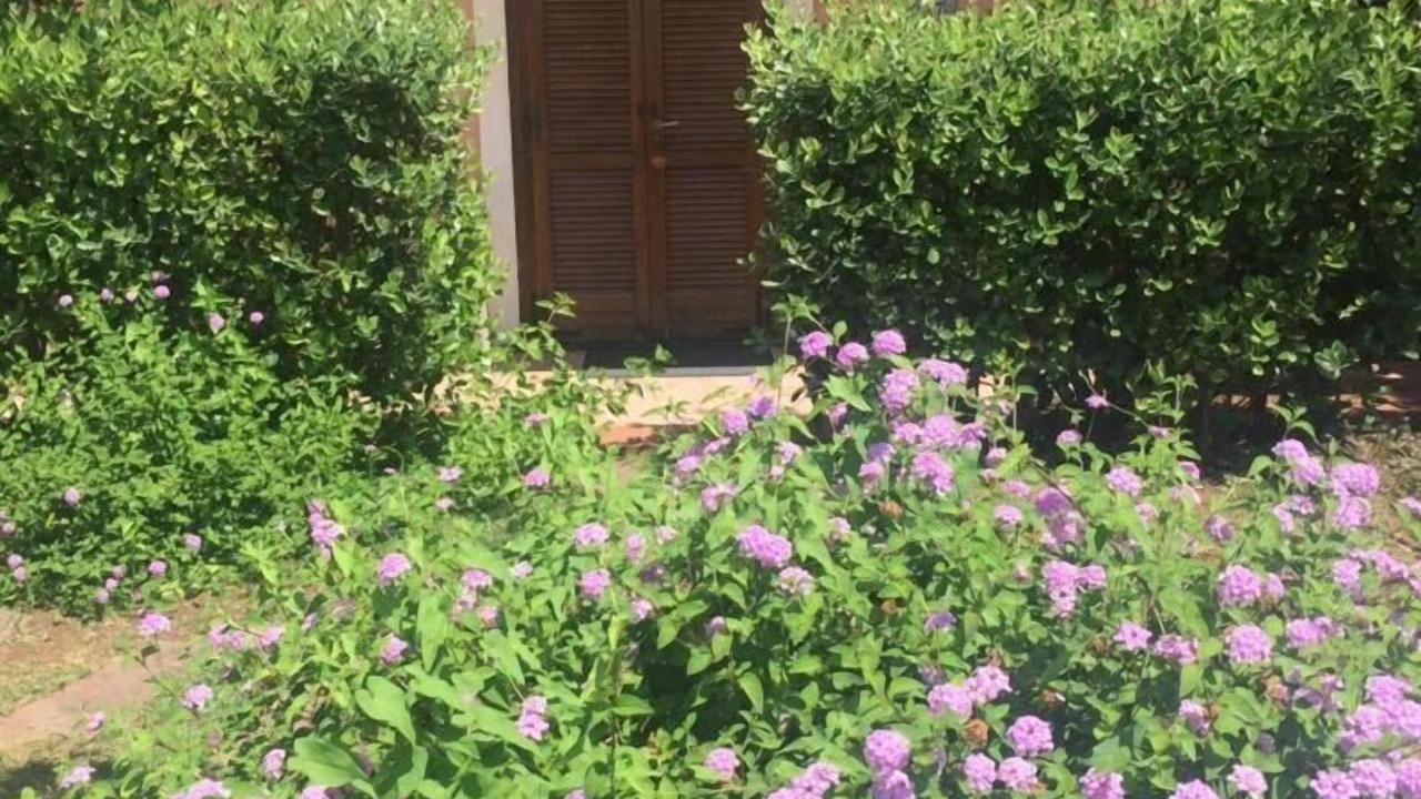 Photo of Outdoor in Marina di Maratea