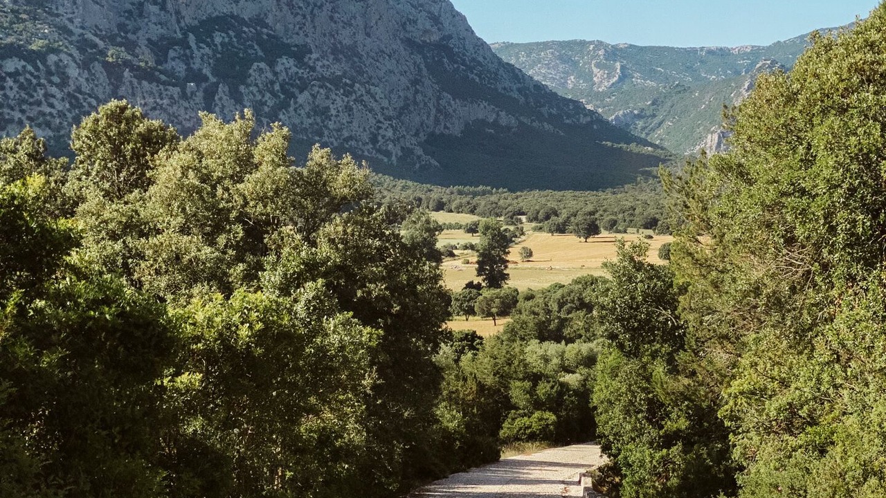 Photo of Outdoor in Oliena
