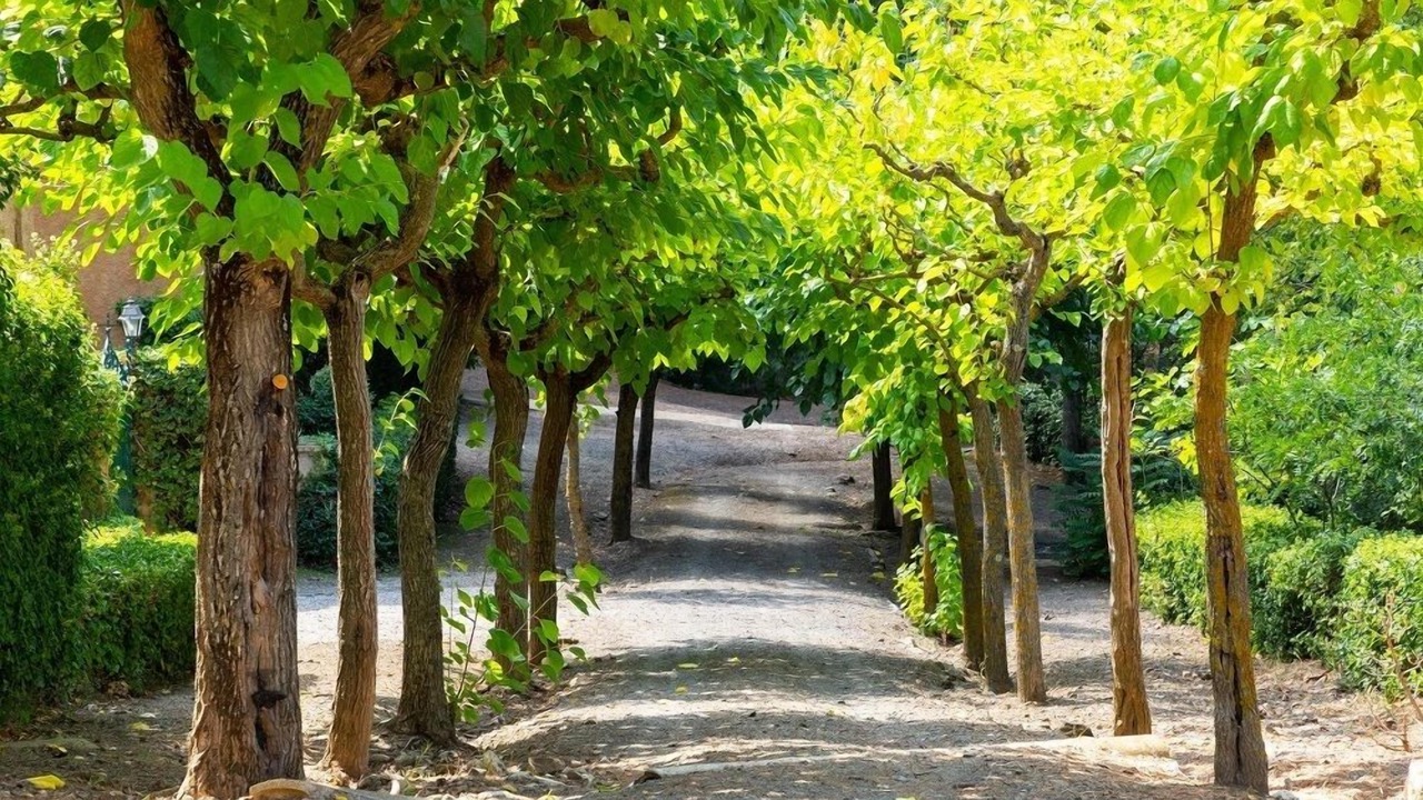Photo of Outdoor in L'Espluga de Francoli