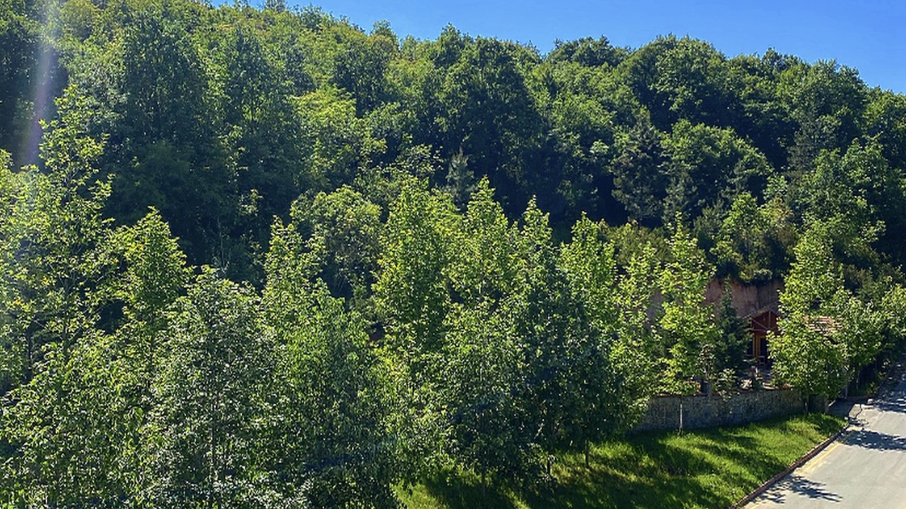 Photo of Outdoor in Gokcedere