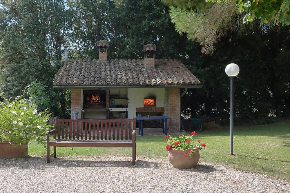 Photo of Outdoor in Monte Castello di Vibio