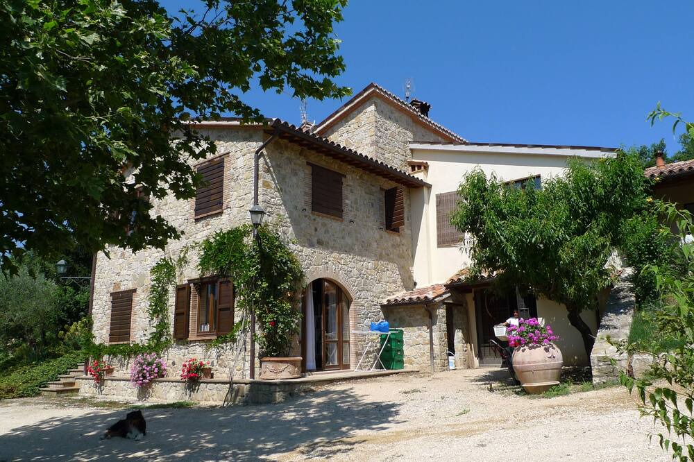 Photo of Outdoor in Monte Castello di Vibio