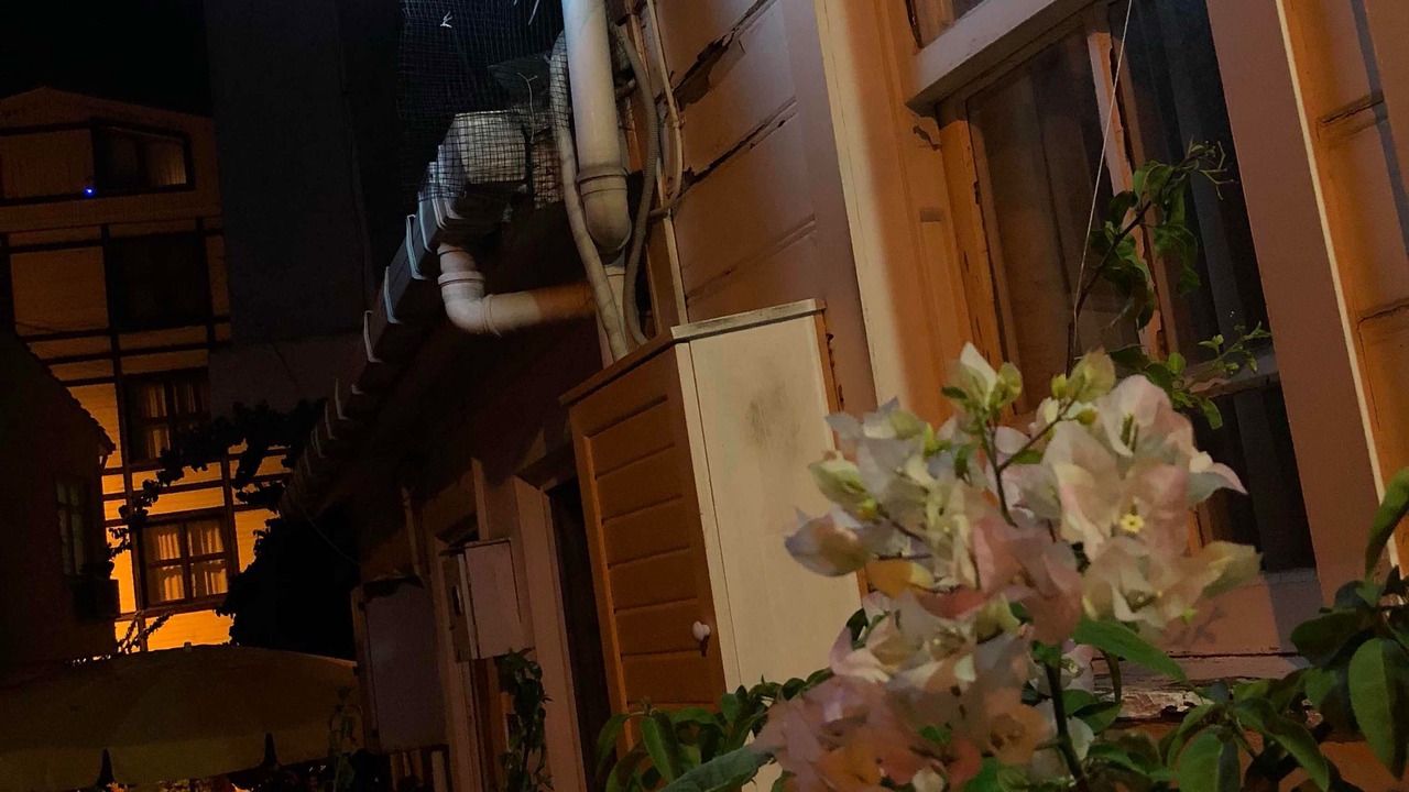 Photo of Outdoor in Adalar