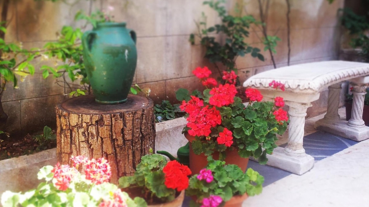 Photo of Outdoor in Gaziantep City Center
