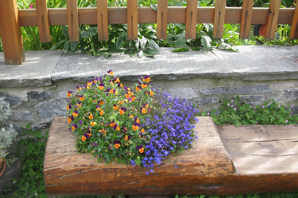 Photo of Outdoor in Soucheres-Basses