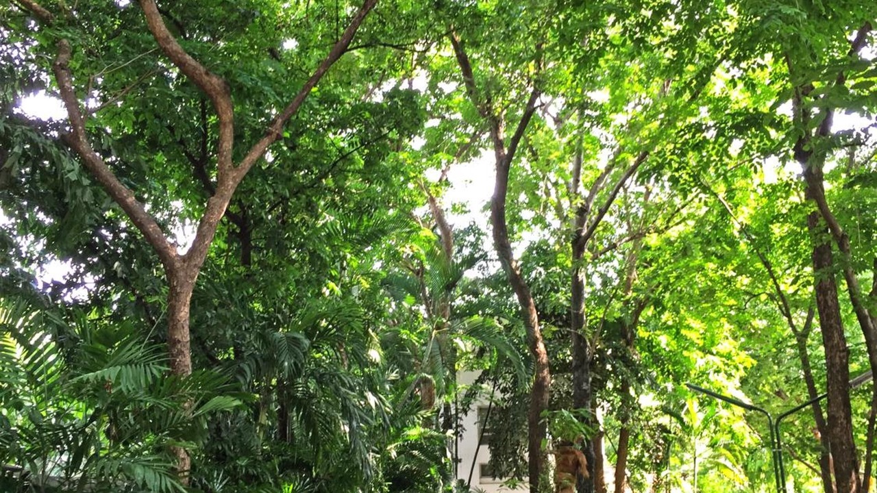 Photo of Outdoor in Bang Kho Laem