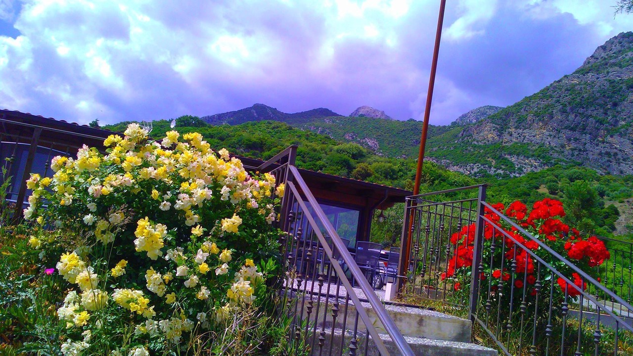 Photo of Outdoor in Cerchiara di Calabria