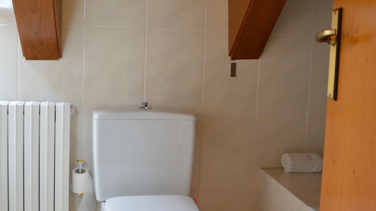 Photo of Bathroom in Laspuna