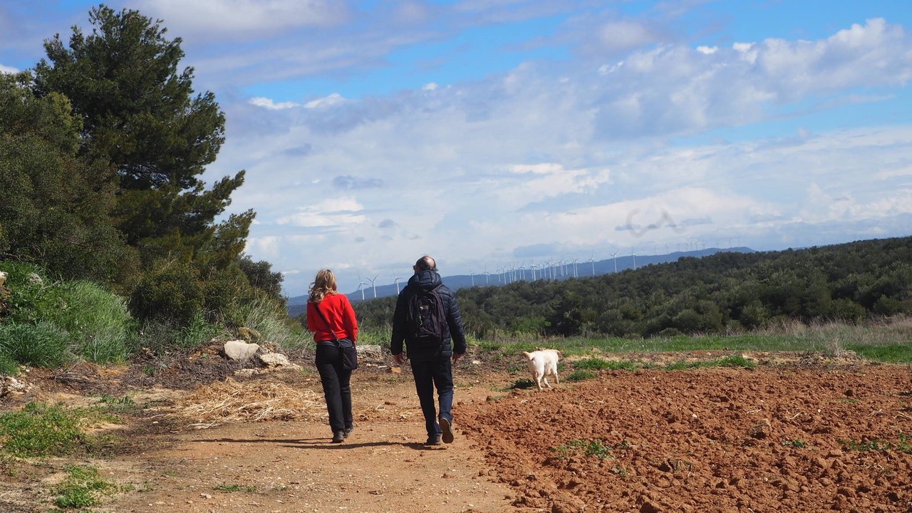Photo of Outdoor in El Vilosell