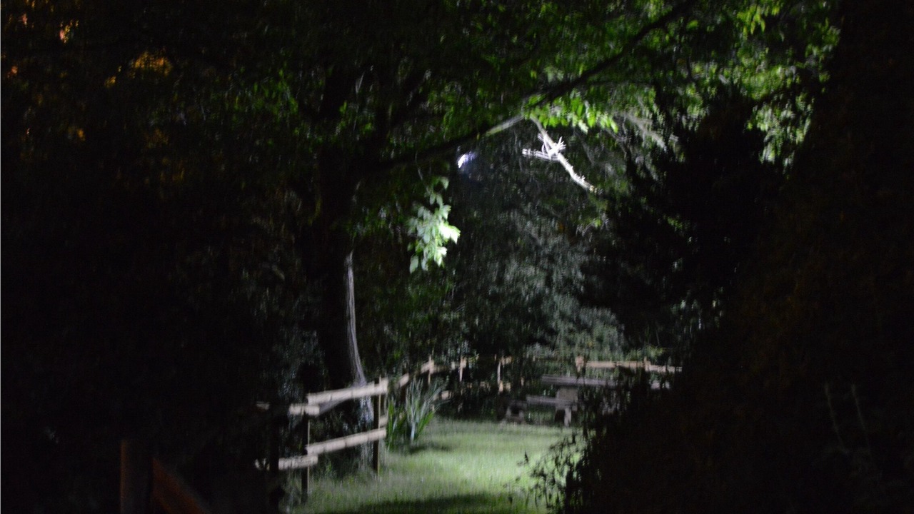 Photo of Outdoor in Laspuna