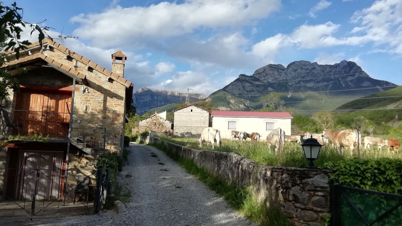 Photo of Outdoor in Laspuna