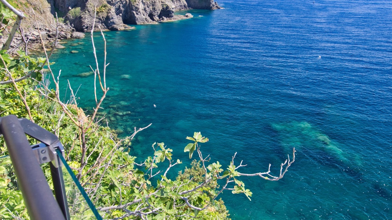 Photo of Others in Riomaggiore