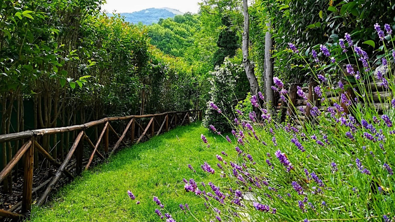 Photo of Outdoor in Brienza