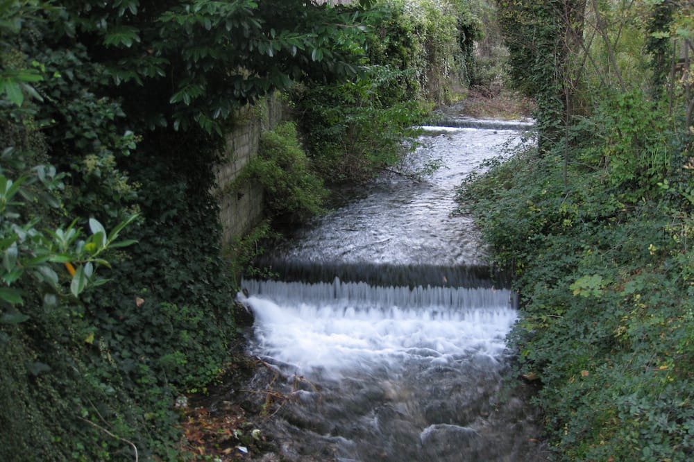 Photo of Outdoor in Bomba