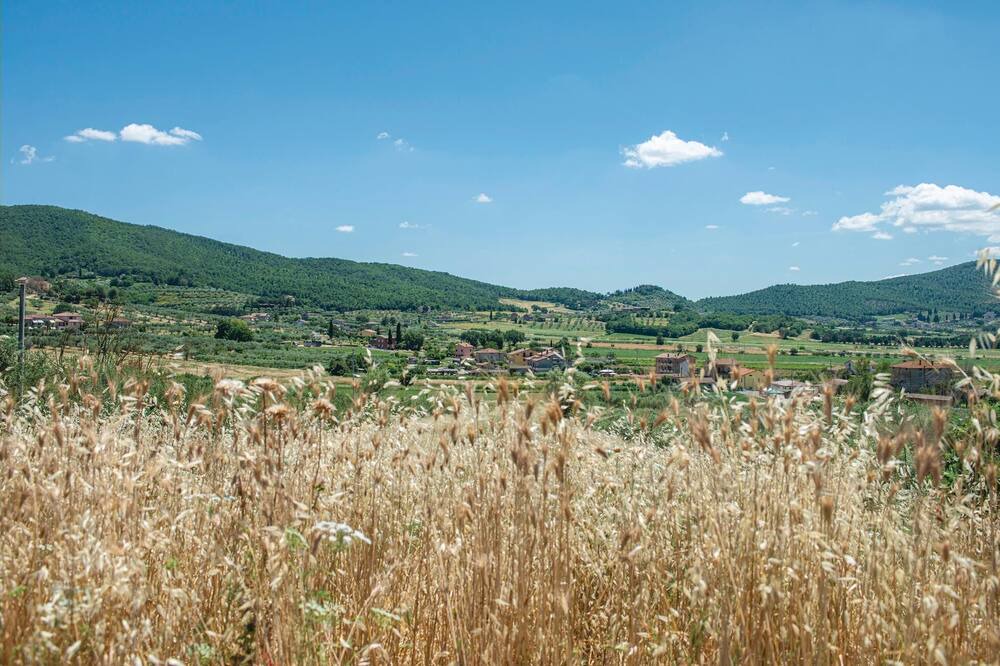 Photo of Others in Magione