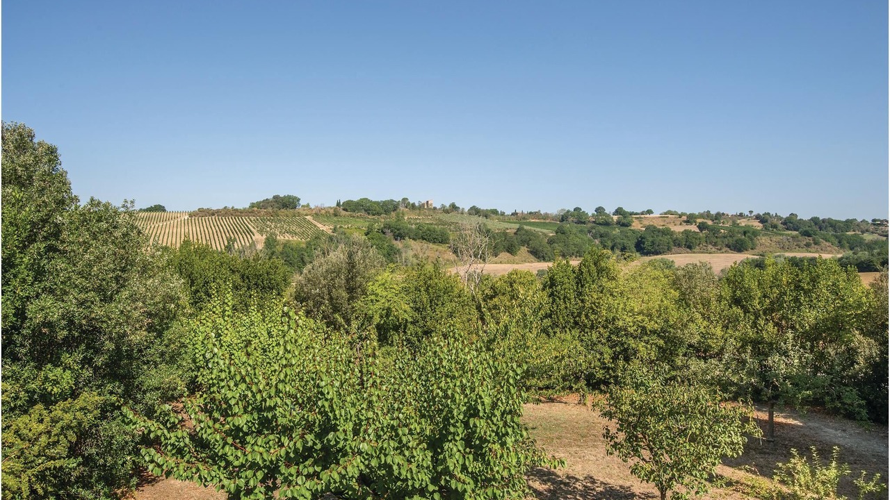 Photo of Others in Narni