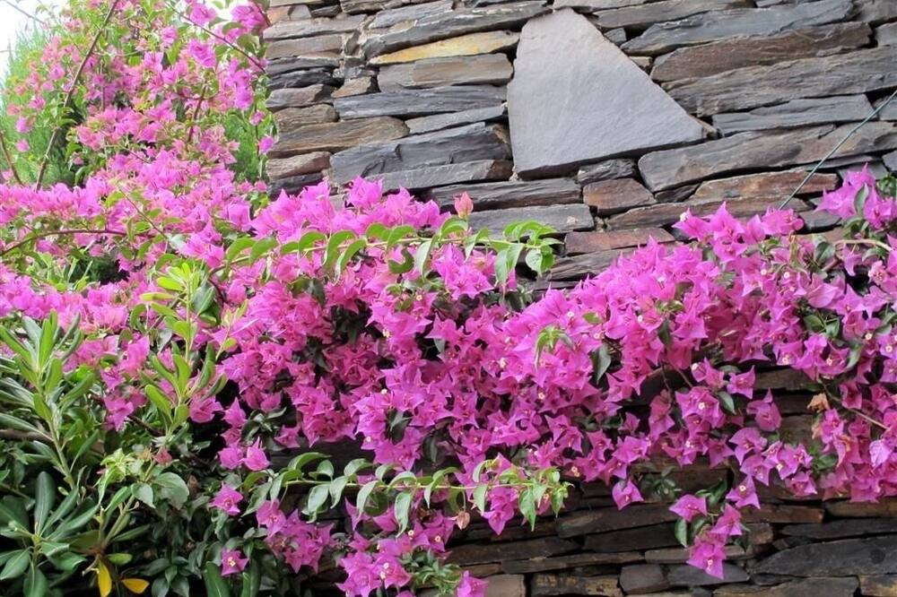 Photo of Outdoor in Almadraba-Canyelles