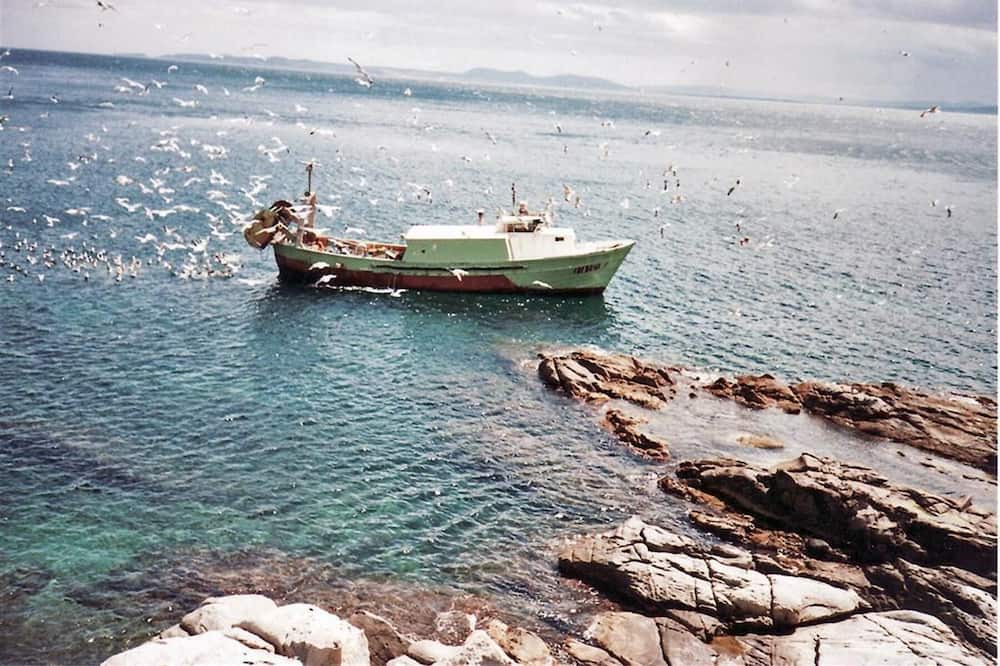 Photo of Others in Almadraba-Canyelles