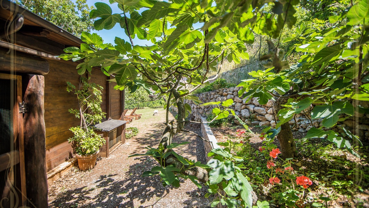 Photo of Outdoor in Cersuta