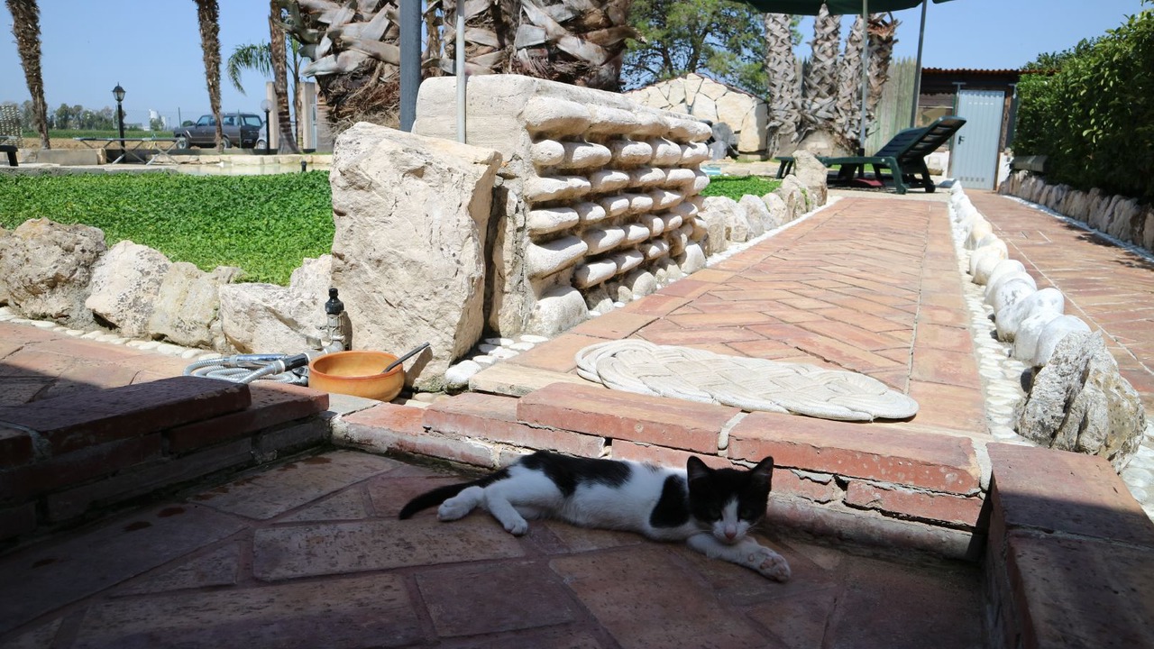 Photo of Outdoor in Latina