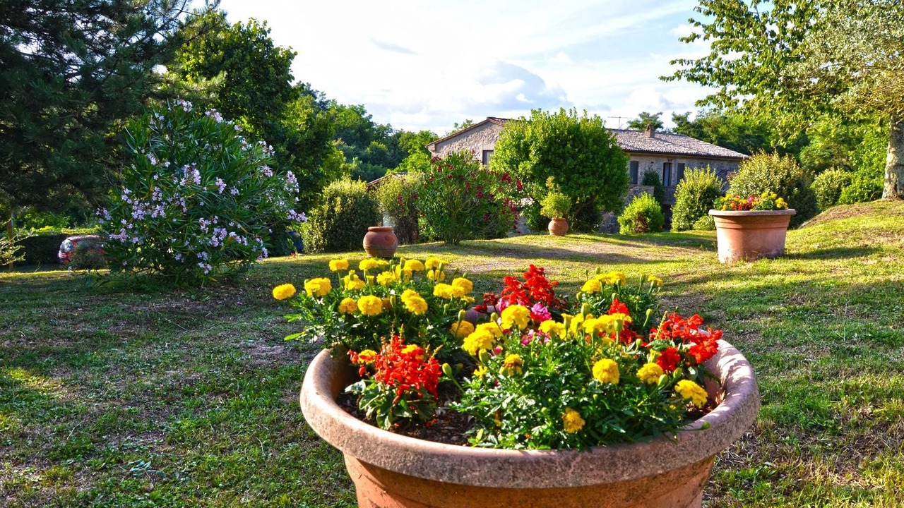 Photo of Outdoor in Castel Viscardo