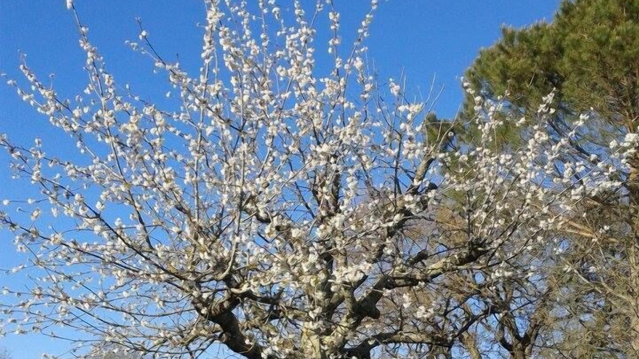Photo of Outdoor in Castel Viscardo