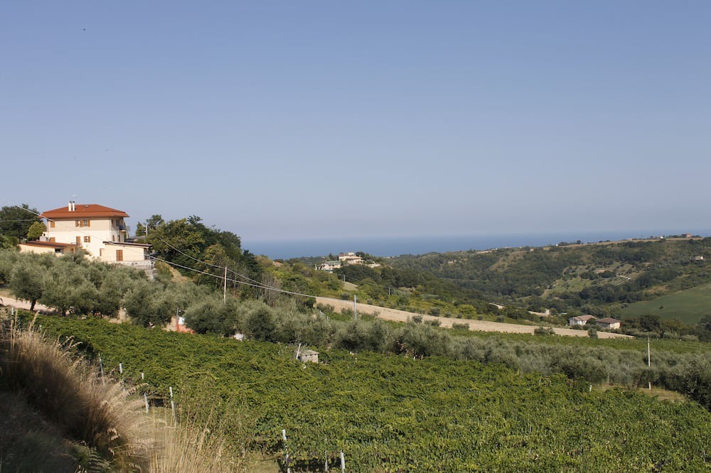 Photo of Outdoor in Lapedona