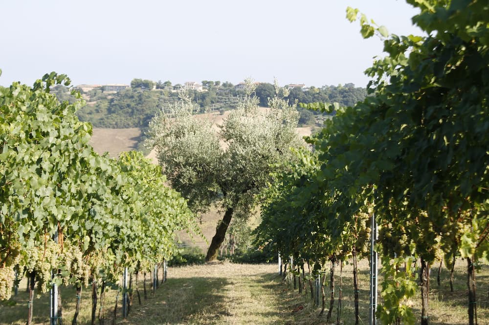 Photo of Outdoor in Lapedona