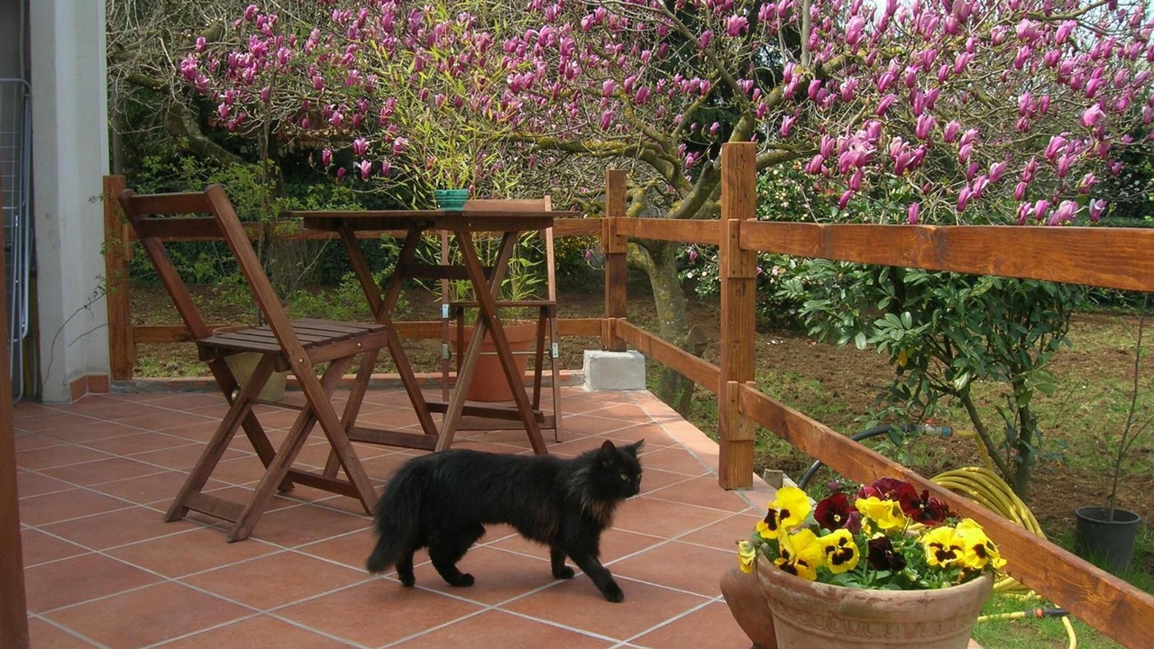 Photo of Patio Balcony in Zagarolo