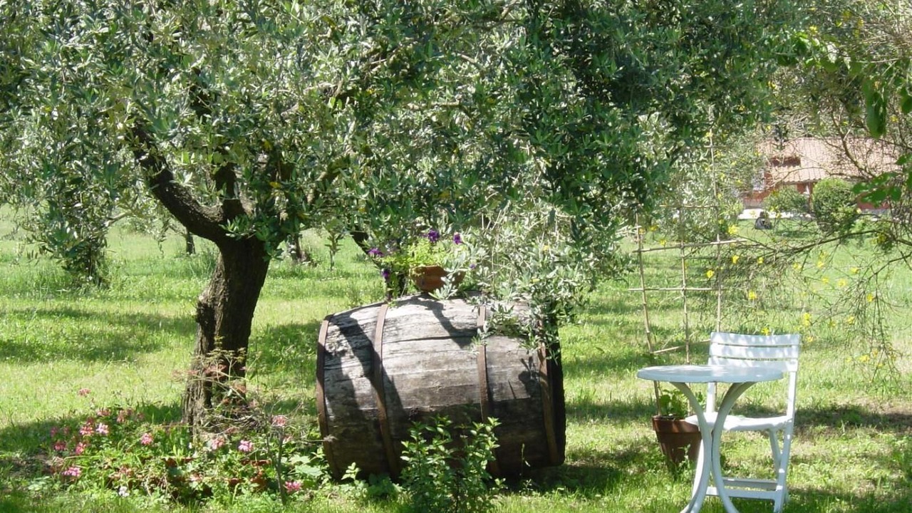 Photo of Outdoor in Zagarolo