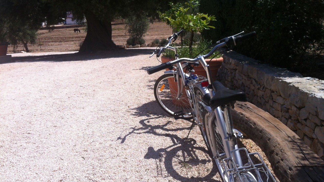 Photo of Others in Speziale