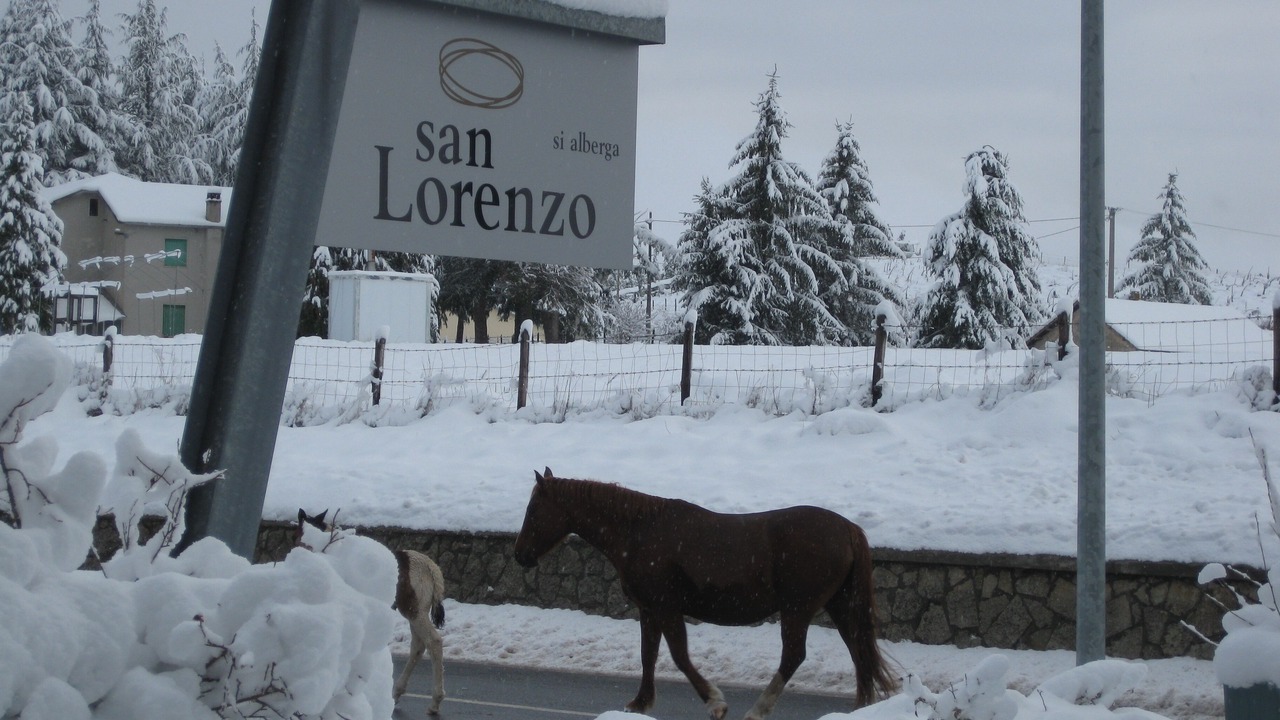 Photo of Outdoor in Spezzano della Sila