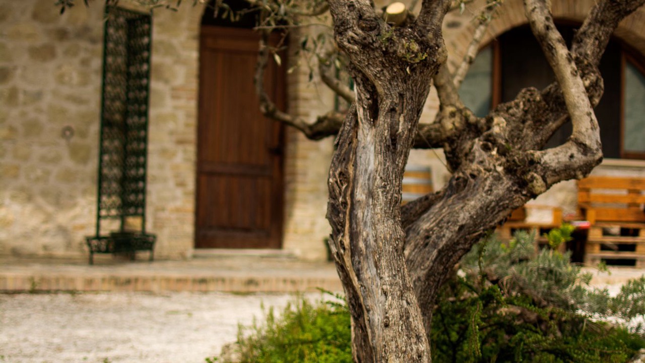 Photo of Outdoor in Serramonacesca