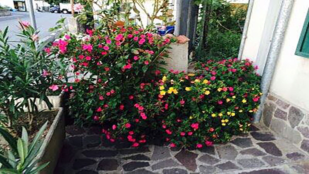 Photo of Outdoor in Pietrafitta