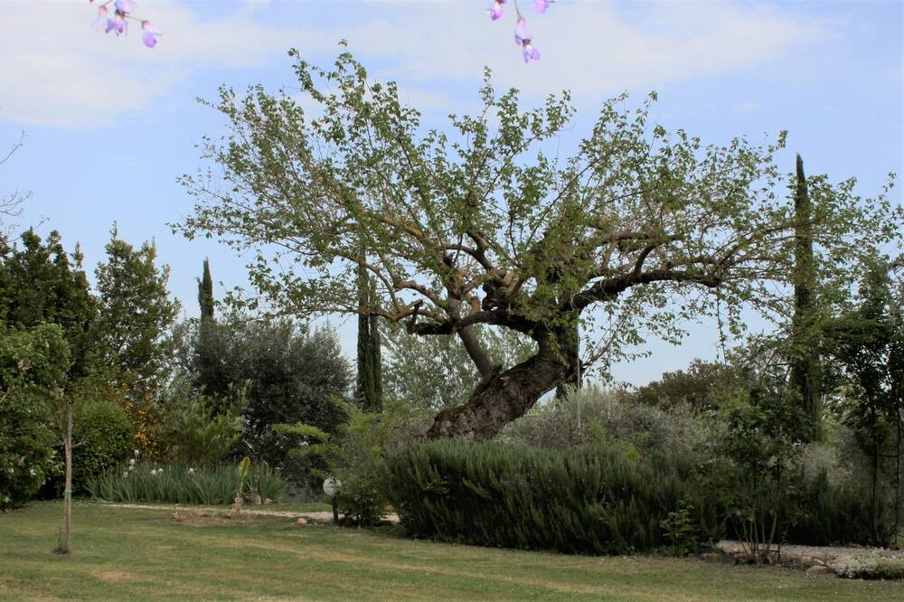 Photo of Outdoor in Fratta Todina