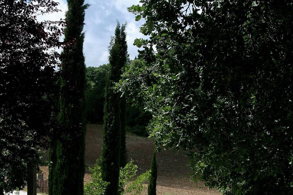 Photo of Outdoor in Fratta Todina