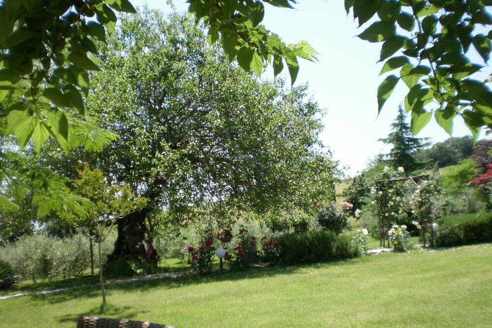 Photo of Outdoor in Fratta Todina