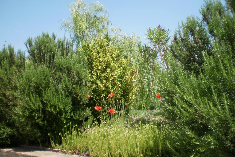 Photo of Outdoor in Fratta Todina