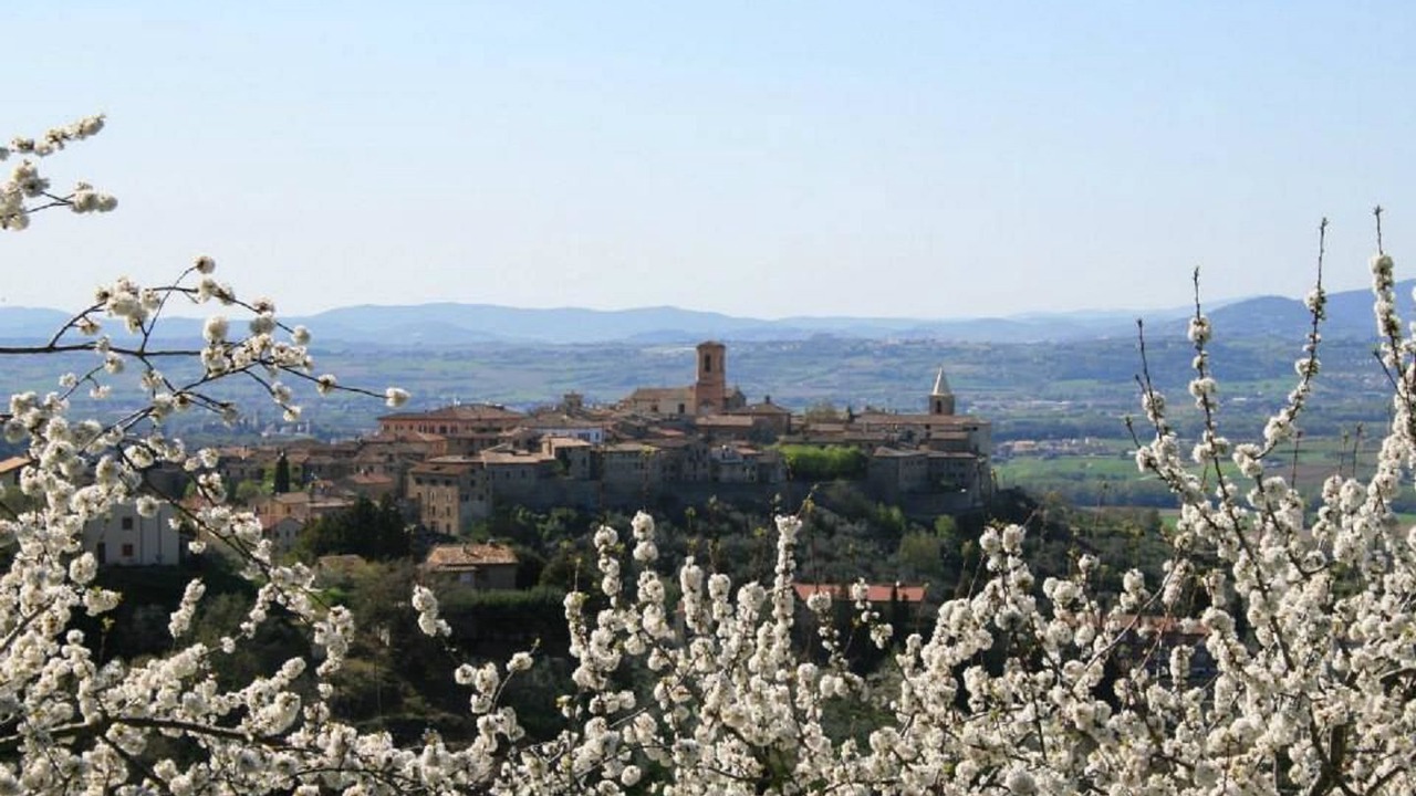Photo of Others in Bettona