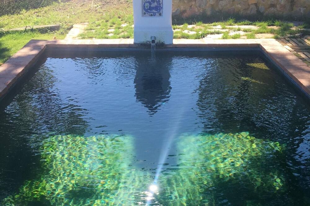 Photo of Outdoor in Aracena