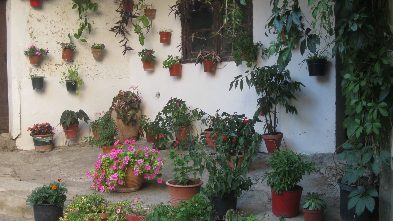 Photo of Outdoor in Las Ventas de Santa Lucia