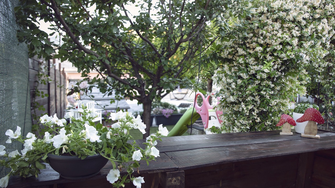 Photo of Outdoor in La Spezia