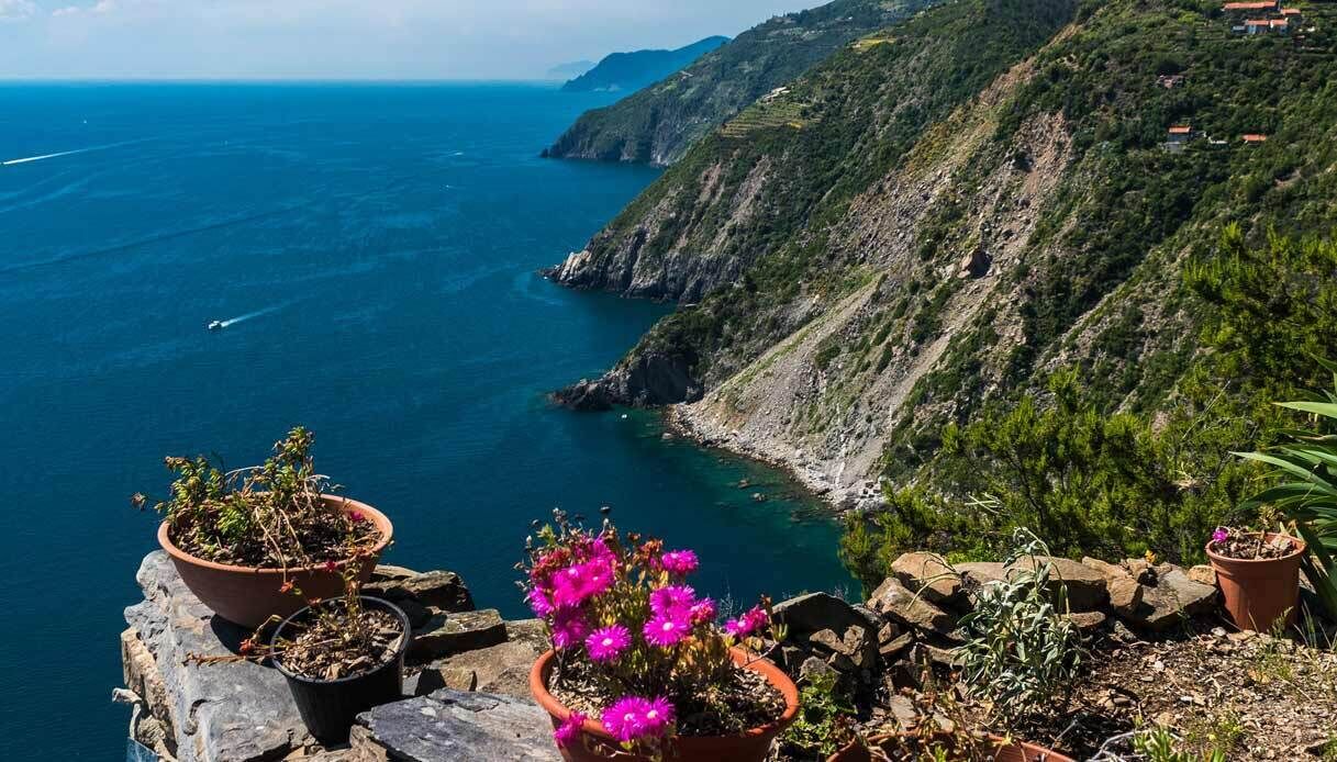 Photo of Others in La Spezia