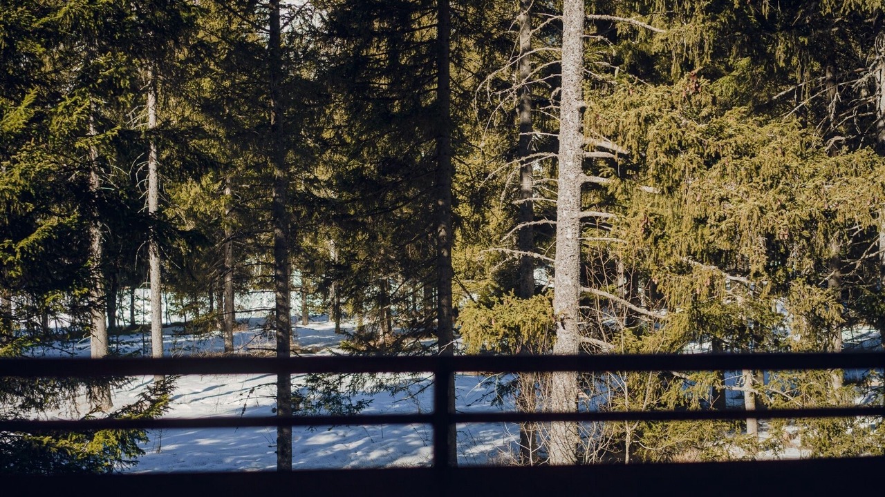 Photo of Bedroom in Frachey