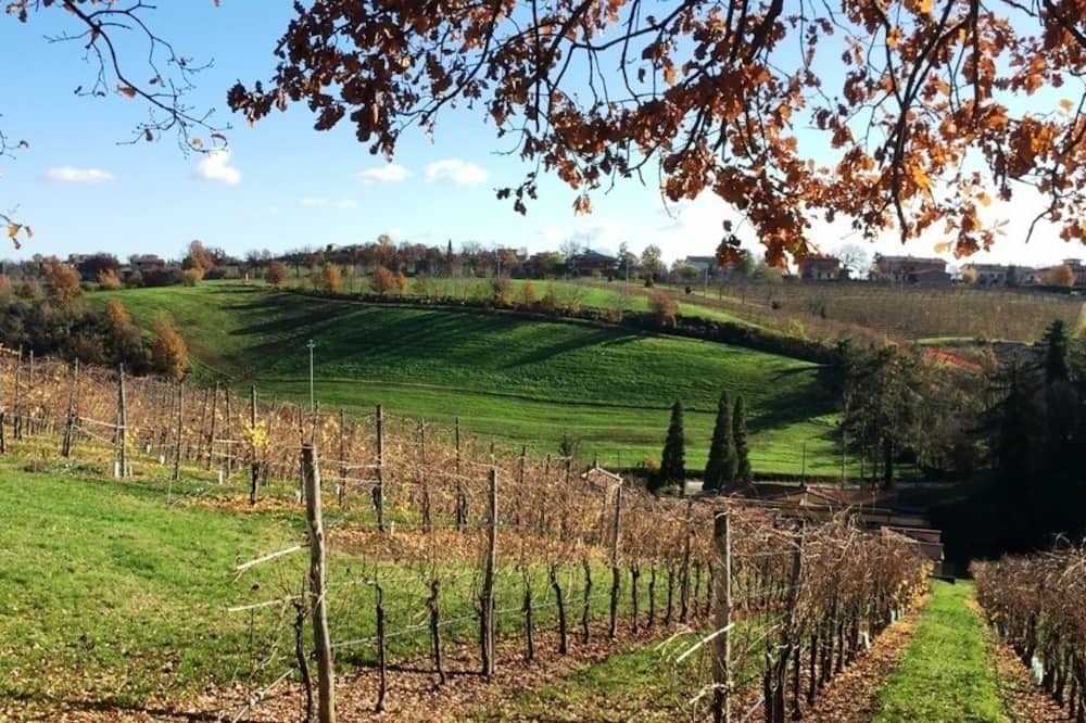 Photo of Outdoor in Levizzano Rangone